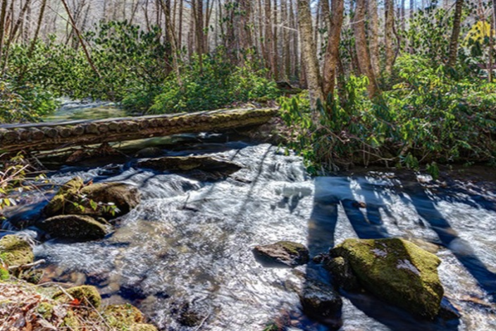Guided Bear Pen Branch Falls Hike